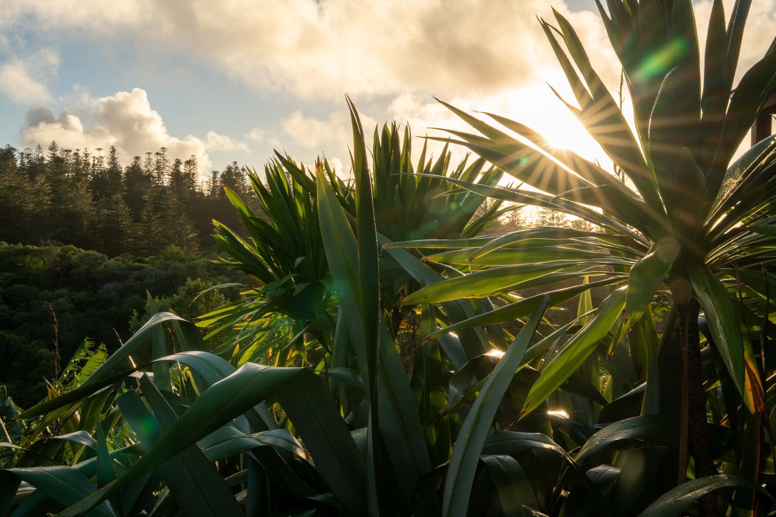 Howie's Hikes, Norfolk Island