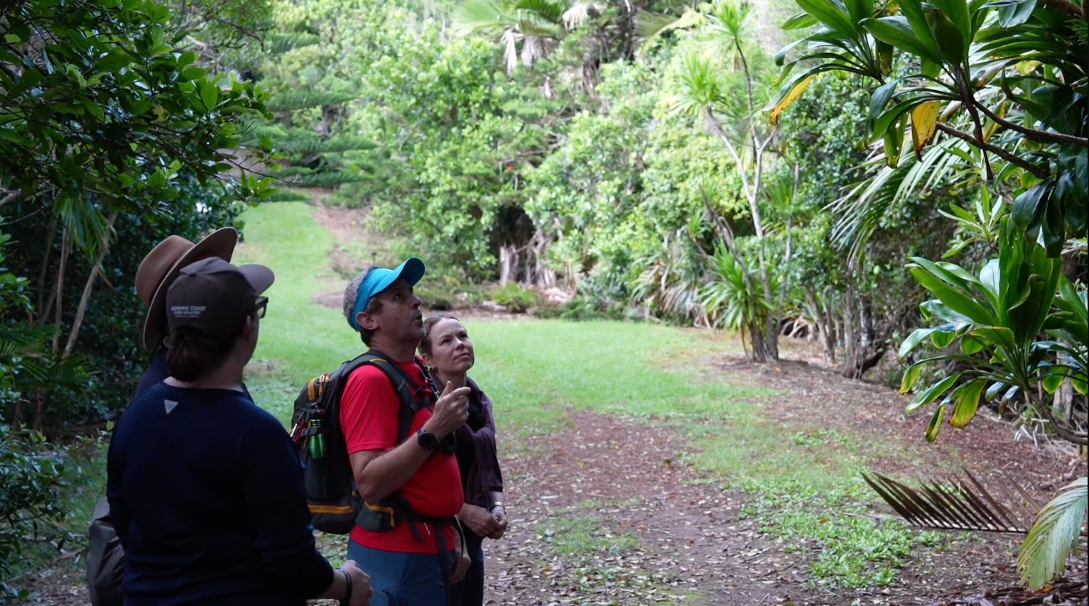 Walking through Mt Pitt and Mt Bates National Park